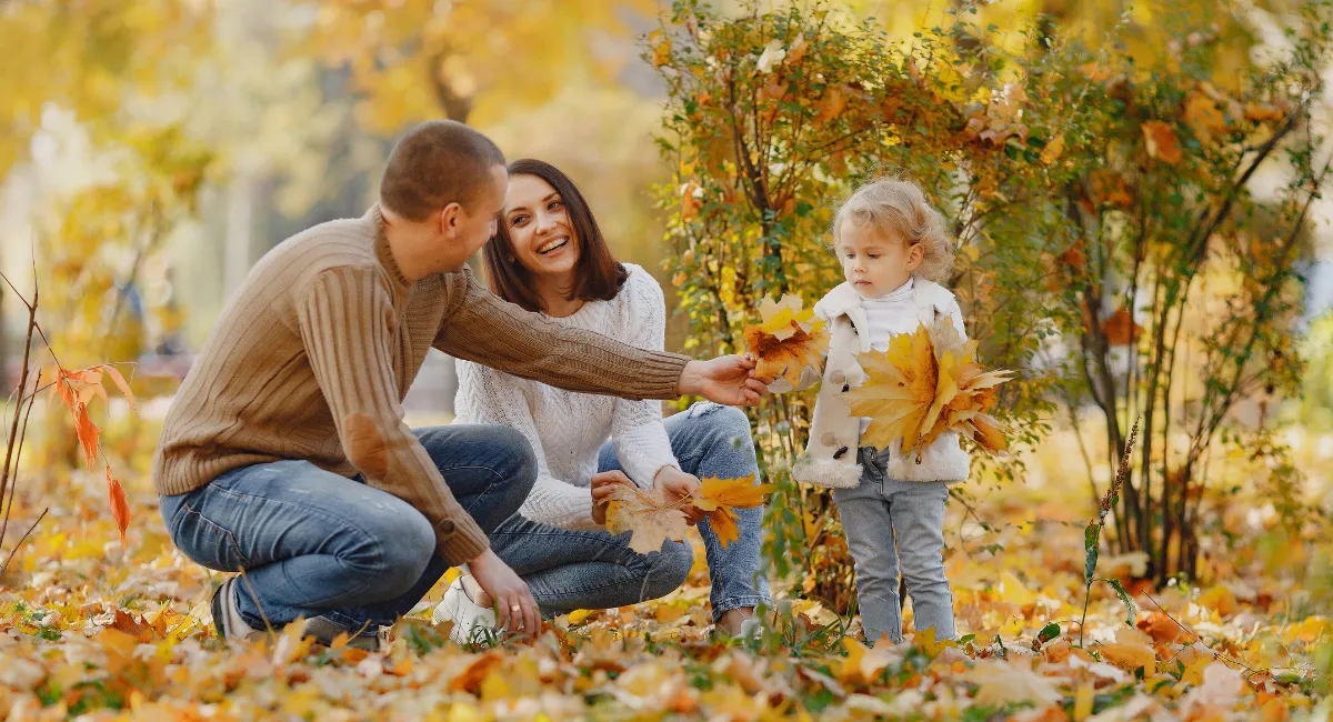 tranquilidad financiera